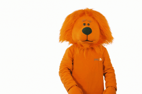 a stuffed animal in an orange costume that says cnb