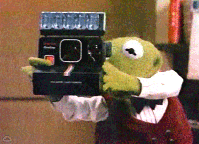 A Stuffed Animal Is Holding A Polaroid Camera In His Hands GIF