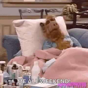 A Stuffed Animal Is Laying In A Bed With A Pillow And A Blanket . GIF