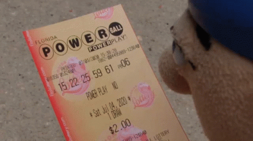 A Stuffed Animal Is Looking At A Florida Powerball Lottery Ticket GIF