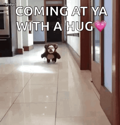 A Stuffed Animal Is Running Down A Hallway With The Words Coming At Ya With A Hug Above It GIF