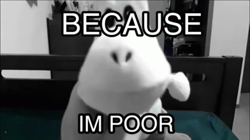 A Stuffed Animal Is Sitting On A Bed With The Words Because Im Poor Below It GIF