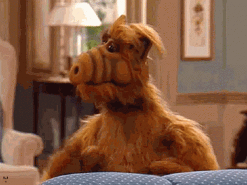 A Stuffed Animal Is Sitting On A Blue Polka Dot Couch In A Living Room GIF