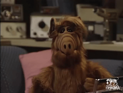 A Stuffed Animal Is Sitting On A Couch In Front Of A Republica De Fihdoria Sign GIF