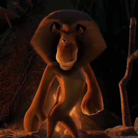 A Stuffed Animal Is Standing In Front Of A Campfire GIF