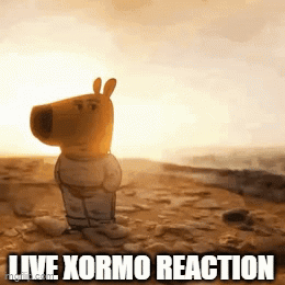 A Stuffed Animal Is Standing On A Rocky Beach With The Words Live Xormo Reaction Below It GIF