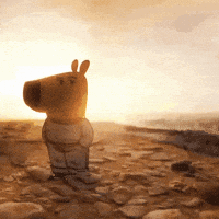 A Stuffed Animal Is Standing On A Rocky Shoreline At Sunset GIF