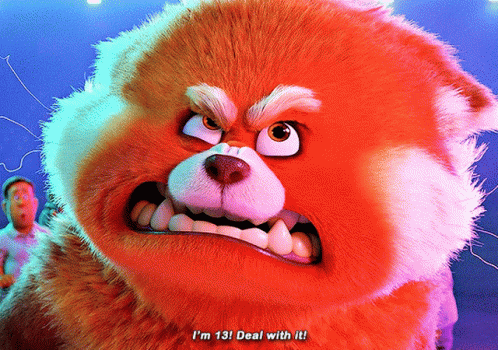 A Stuffed Animal Says I 'M 13 Deal With It In Front Of A Man GIF