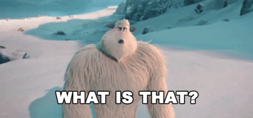 A Stuffed Animal Standing In The Snow With The Words What Is That Written Below It GIF