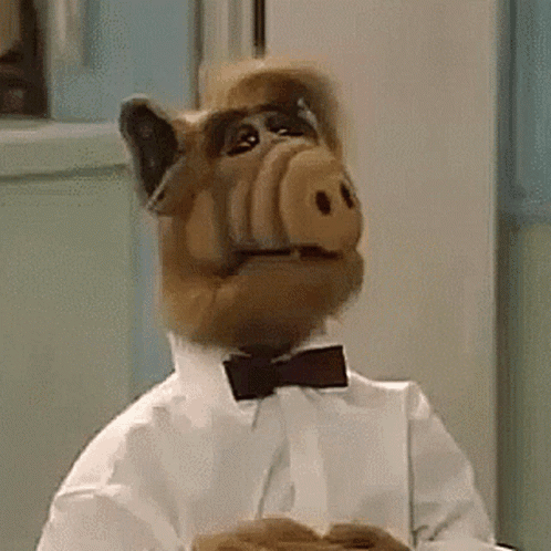 A Stuffed Animal Wearing A Bow Tie And A White Shirt Is Holding A Plate . GIF