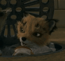 A Stuffed Animal Wearing A Chef 'S Hat And Collar GIF