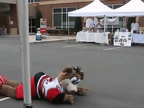 A Stuffed Animal Wearing A Jersey With The Number 8 Is Laying On The Ground GIF