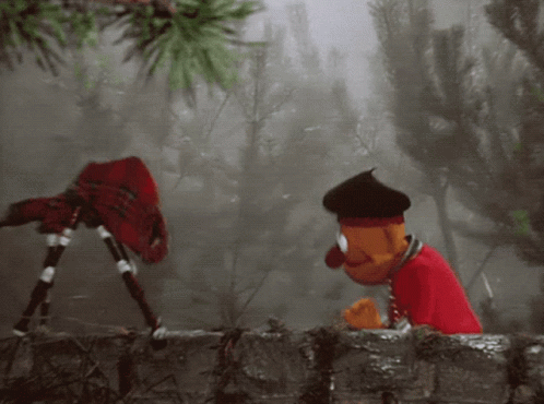 a stuffed animal wearing a red shirt and a black hat is playing a bagpipe