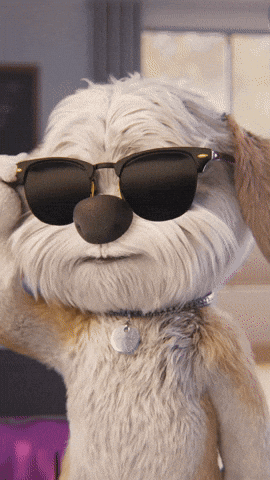 A Stuffed Animal Wearing Sunglasses Has A Tag On It GIF