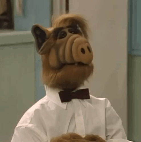 A Stuffed Animal With A Bow Tie And A White Shirt . GIF