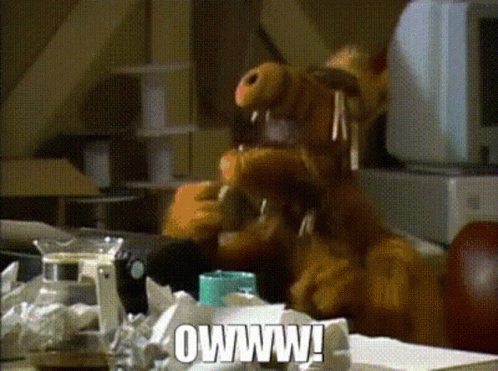A Stuffed Animal With A Donut In Its Mouth Is Sitting At A Table With The Words Owww On It GIF