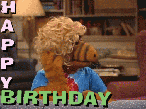 A Stuffed Animal With A Wig And The Words Happy Birthday GIF