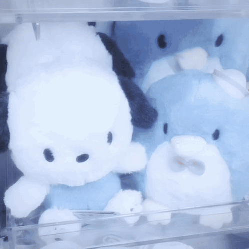 A Stuffed Animal With Glasses And The Letter B On It GIF