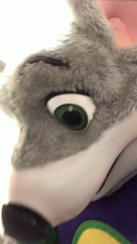 A Stuffed Animal With Green Eyes Is Being Held By Someone GIF