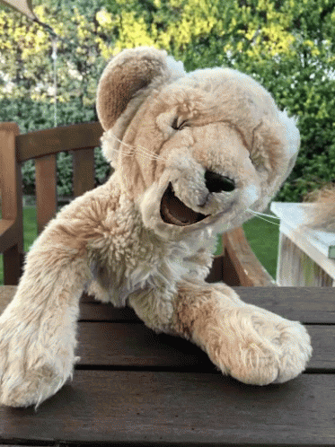 A Stuffed Animal With Its Mouth Open Is Sitting On A Table GIF