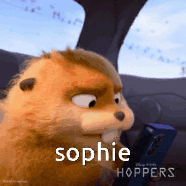 a stuffed animal with the name sophie hoppers