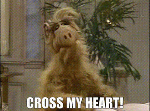 A Stuffed Animal With The Words Cross My Heart Written Below It GIF