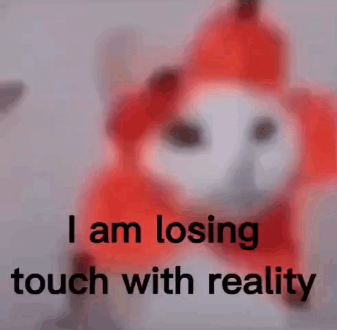 a stuffed animal with the words `` i am losing touch with reality '' written on it .