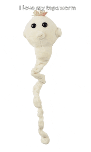 A Stuffed Animal With The Words I Love My Tapeworm On It GIF