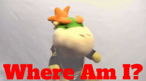 a stuffed animal with the words " where am i " written on it