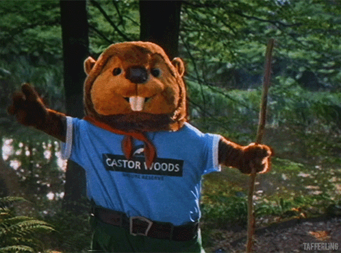 A Stuffed Beaver Wearing A Castor Woods Shirt GIF