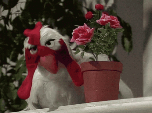 a stuffed chicken holding a red heart next to a potted plant