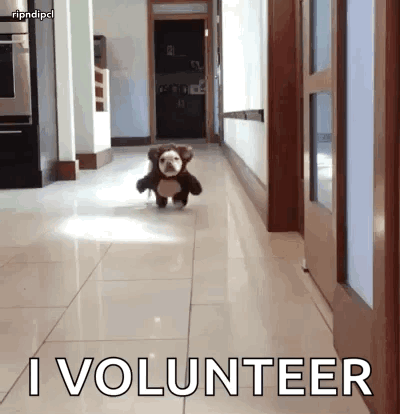 A Stuffed Dog Is Running Down A Hallway With The Words " I Volunteer " Written On The Floor GIF