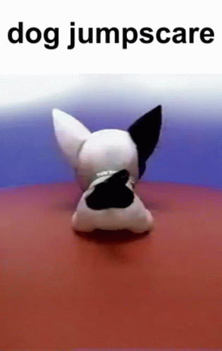 A Stuffed Dog Is Standing On A Red Surface With The Words `` Dog Jumpscare '' Below It . GIF