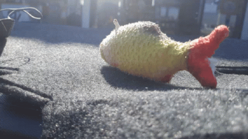 A Stuffed Fish With A Red Tail Is Sitting On A Carpet GIF