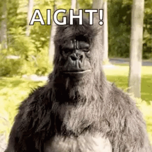 A Stuffed Gorilla Is Standing In The Woods With The Words `` Aight ! '' Written On It . GIF