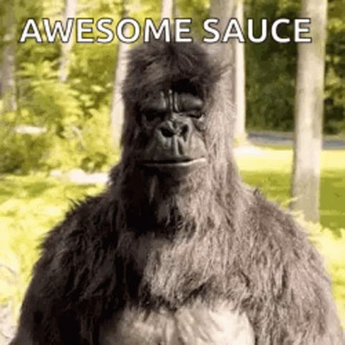 A Stuffed Gorilla Is Standing In The Woods With The Words `` Awesome Sauce '' Written On The Bottom . GIF