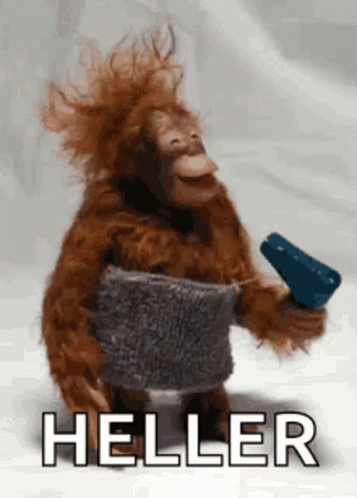 A Stuffed Monkey Is Holding A Hair Dryer And The Word Heller Is Above It . GIF