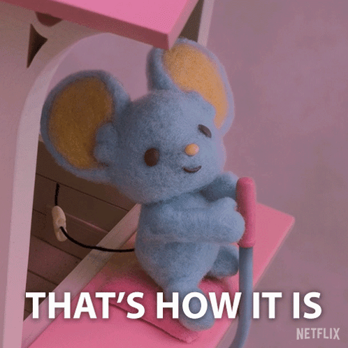 A Stuffed Mouse Is Sitting On A Pink Shelf With The Words That 'S How It Is Netflix Below It GIF