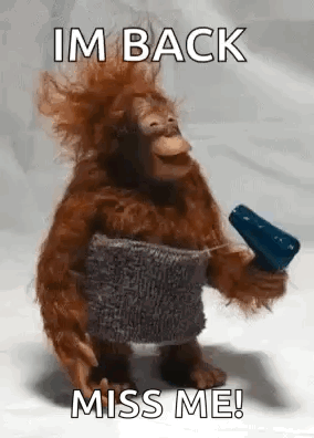 A Stuffed Orangutan Is Holding A Hair Dryer And A Towel Around His Waist . GIF