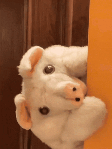 A Stuffed Pig Is Peeking Over A Door GIF
