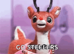 A Stuffed Reindeer With A Red Nose Is Sitting In A Pink Box And Saying `` Go Steelers '' . GIF