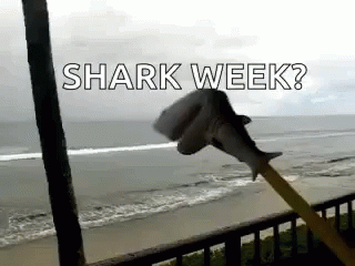 A Stuffed Shark Is Flying In The Air With The Words `` Shark Week '' Written On It . GIF