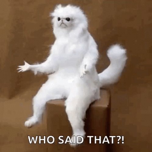 A Stuffed White Cat Is Sitting On A Box And Says Who Said That . GIF