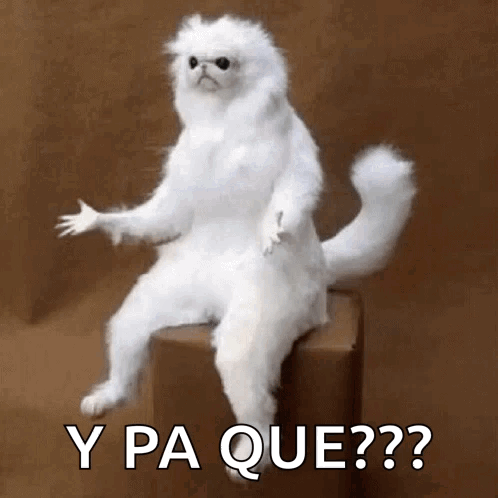 A Stuffed White Cat Is Sitting On A Box With The Words Y Pa Que ? GIF