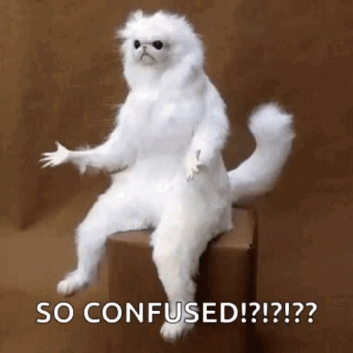 A Stuffed White Cat Is Sitting On Top Of A Box With Its Paws Outstretched . GIF