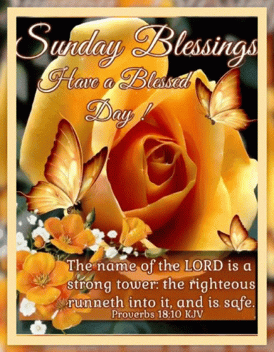 A Sunday Blessings Card With Butterflies And A Rose GIF