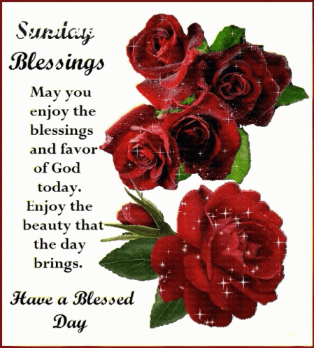 A Sunday Blessings Card With Red Roses On It GIF