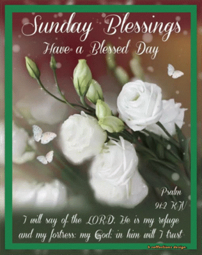 A Sunday Blessings Have A Blessed Day Card With White Roses And Butterflies GIF