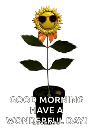 A Sunflower Wearing Sunglasses Is Growing In A Pot And Says `` Good Morning Have A Wonderful Day ! '' GIF