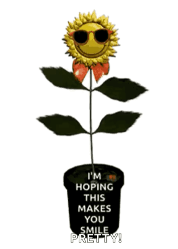 A Sunflower Wearing Sunglasses Is Growing In A Pot And Says I 'M Hoping This Makes You Smile Pretty ! GIF